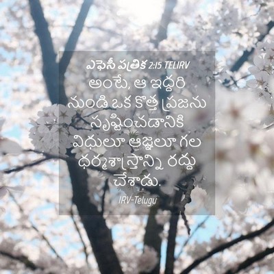 Picture 04 - ఎఫెసీ పత్రిక 2:15 TELIRV - అంటే, ఆ ఇద్దరి - Bible Verse Picture