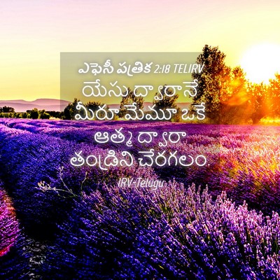 Picture 04 - ఎఫెసీ పత్రిక 2:18 TELIRV - యేసు ద్వారానే - Bible Verse Picture