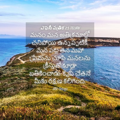 Picture 04 - ఎఫెసీ పత్రిక 2:5 TELIRV - మనం మన - Bible Verse Picture