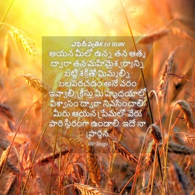 Picture 04 - ఎఫెసీ పత్రిక 3:17 TELIRV - ఆయన మీలో ఉన్న తన - Bible Verse Picture