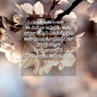 Picture 04 - ఎఫెసీ పత్రిక 3:5 TELIRV - ఈ మర్మం ఇప్పుడు - Bible Verse Picture