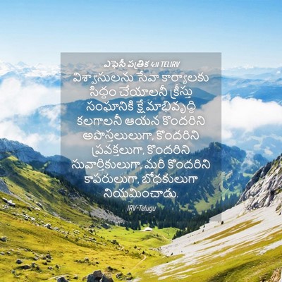Picture 04 - ఎఫెసీ పత్రిక 4:11 TELIRV - విశ్వాసులను సేవా - Bible Verse Picture