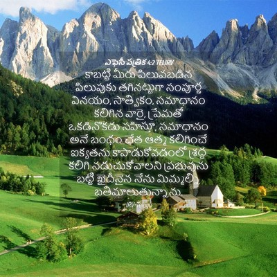 Picture 04 - ఎఫెసీ పత్రిక 4:2 TELIRV - కాబట్టి మీరు - Bible Verse Picture