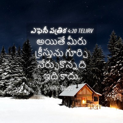Picture 04 - ఎఫెసీ పత్రిక 4:20 TELIRV - అయితే మీరు - Bible Verse Picture