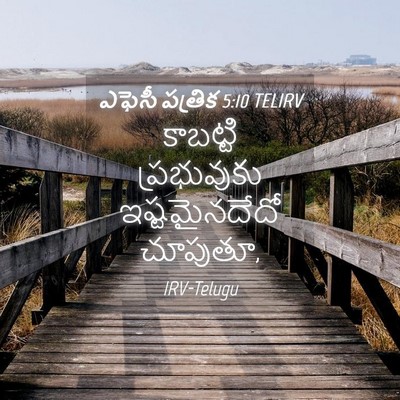 Picture 04 - ఎఫెసీ పత్రిక 5:10 TELIRV - కాబట్టి ప్రభువుకు - Bible Verse Picture