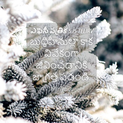 Picture 04 - ఎఫెసీ పత్రిక 5:15 TELIRV - బుద్ధిహీనుల్లా - Bible Verse Picture