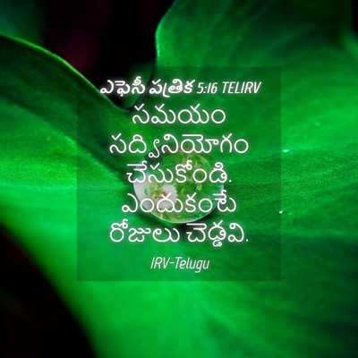 Picture 04 - ఎఫెసీ పత్రిక 5:16 TELIRV - సమయం సద్వినియోగం - Bible Verse Picture