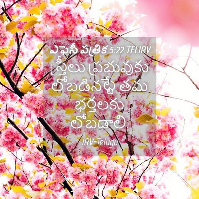 Picture 04 - ఎఫెసీ పత్రిక 5:22 TELIRV - స్త్రీలు - Bible Verse Picture