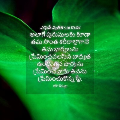Picture 04 - ఎఫెసీ పత్రిక 5:28 TELIRV - అలాగే పురుషులకు - Bible Verse Picture