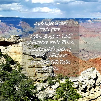 Picture 04 - ఎఫెసీ పత్రిక 6:8 TELIRV - దాసుడైనా, - Bible Verse Picture