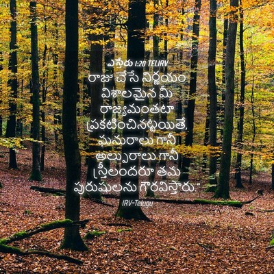 Picture 04 - ఎస్తేరు 1:20 TELIRV - రాజు చేసే నిర్ణయం - Bible Verse Picture