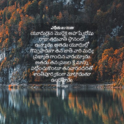 Picture 04 - ఎస్తేరు 10:3 TELIRV - యూదుడైన మొర్దెకై - Bible Verse Picture