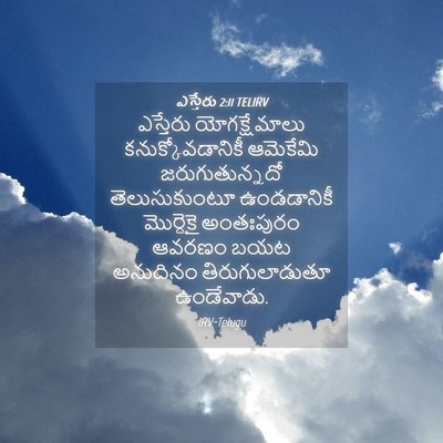 Picture 04 - ఎస్తేరు 2:11 TELIRV - ఎస్తేరు - Bible Verse Picture