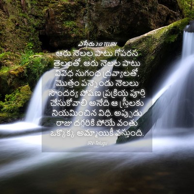 Picture 04 - ఎస్తేరు 2:12 TELIRV - ఆరు నెలల పాటు - Bible Verse Picture