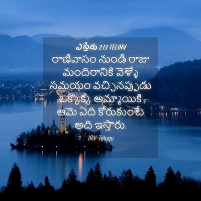 Picture 04 - ఎస్తేరు 2:13 TELIRV - రాణివాసం నుండి - Bible Verse Picture