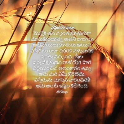 Picture 04 - ఎస్తేరు 2:15 TELIRV - మొర్దెకై తన స్వంత - Bible Verse Picture
