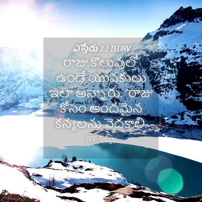 Picture 04 - ఎస్తేరు 2:2 TELIRV - రాజు కొలువులో - Bible Verse Picture