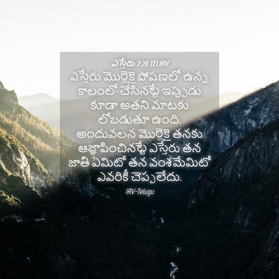 Picture 04 - ఎస్తేరు 2:20 TELIRV - ఎస్తేరు మొర్దెకై - Bible Verse Picture