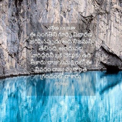 Picture 04 - ఎస్తేరు 2:23 TELIRV - ఈ సంగతిని గూర్చి - Bible Verse Picture
