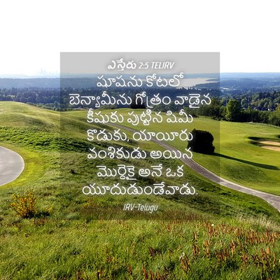 Picture 04 - ఎస్తేరు 2:5 TELIRV - షూషను కోటలో - Bible Verse Picture