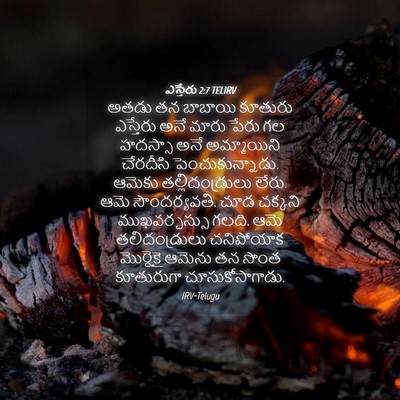 Picture 04 - ఎస్తేరు 2:7 TELIRV - అతడు తన బాబాయి - Bible Verse Picture
