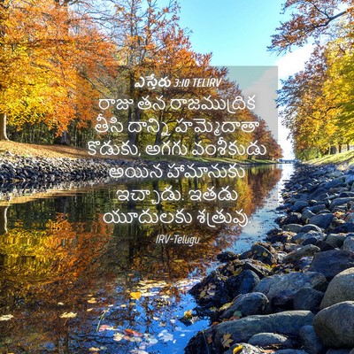 Picture 04 - ఎస్తేరు 3:10 TELIRV - రాజు తన - Bible Verse Picture