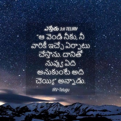Picture 04 - ఎస్తేరు 3:11 TELIRV - “ఆ వెండి నీకు, నీ - Bible Verse Picture