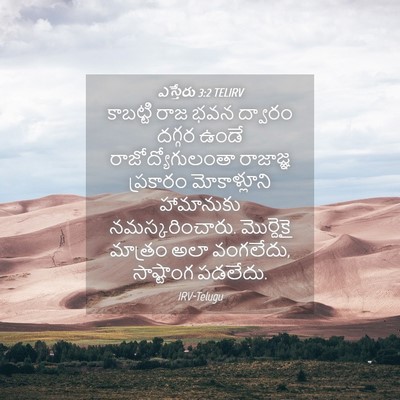 Picture 04 - ఎస్తేరు 3:2 TELIRV - కాబట్టి రాజ భవన - Bible Verse Picture