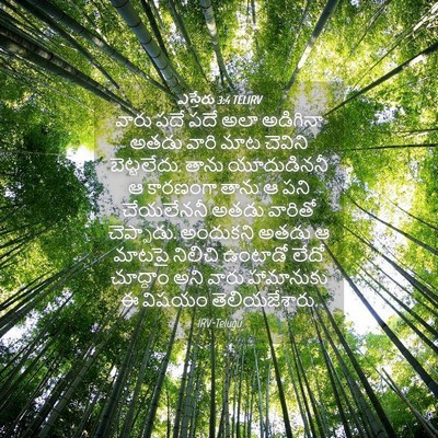 Picture 04 - ఎస్తేరు 3:4 TELIRV - వారు పదే పదే అలా - Bible Verse Picture