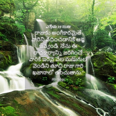 Picture 04 - ఎస్తేరు 3:9 TELIRV - రాజుకు - Bible Verse Picture