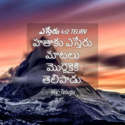 Picture 04 - ఎస్తేరు 4:12 TELIRV - హతాకు ఎస్తేరు - Bible Verse Picture