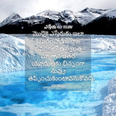 Picture 04 - ఎస్తేరు 4:13 TELIRV - మొర్దెకై - Bible Verse Picture