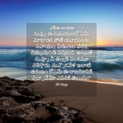Picture 04 - ఎస్తేరు 4:14 TELIRV - నువ్వు ఈ సమయంలో - Bible Verse Picture