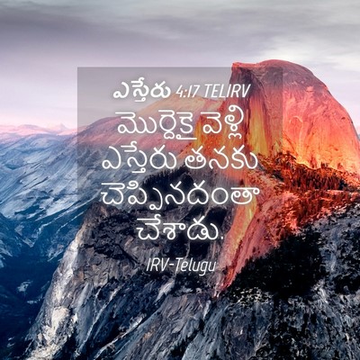 Picture 04 - ఎస్తేరు 4:17 TELIRV - మొర్దెకై వెళ్లి - Bible Verse Picture