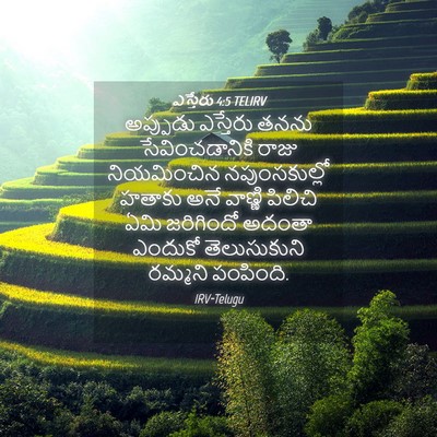 Picture 04 - ఎస్తేరు 4:5 TELIRV - అప్పుడు ఎస్తేరు - Bible Verse Picture