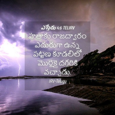 Picture 04 - ఎస్తేరు 4:6 TELIRV - హతాకు రాజద్వారం - Bible Verse Picture