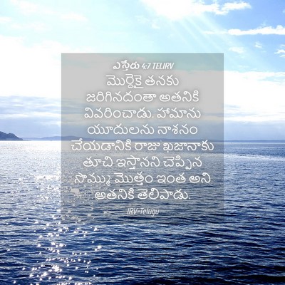 Picture 04 - ఎస్తేరు 4:7 TELIRV - మొర్దెకై తనకు - Bible Verse Picture