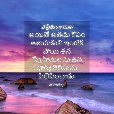 Picture 04 - ఎస్తేరు 5:10 TELIRV - అయితే అతడు కోపం - Bible Verse Picture