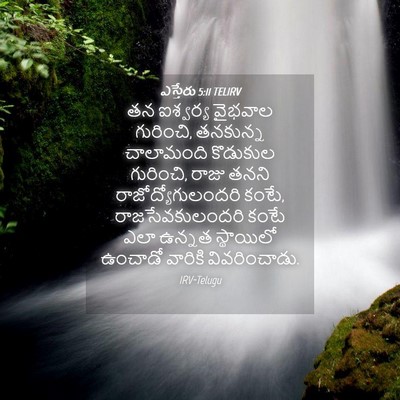 Picture 04 - ఎస్తేరు 5:11 TELIRV - తన ఐశ్వర్య వైభవాల - Bible Verse Picture