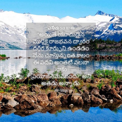 Picture 04 - ఎస్తేరు 5:13 TELIRV - “అయితే యూదుడైన - Bible Verse Picture