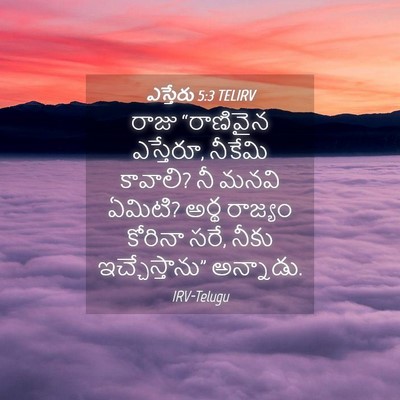 Picture 04 - ఎస్తేరు 5:3 TELIRV - రాజు “రాణివైన - Bible Verse Picture