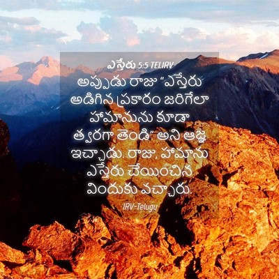 Picture 04 - ఎస్తేరు 5:5 TELIRV - అప్పుడు రాజు - Bible Verse Picture