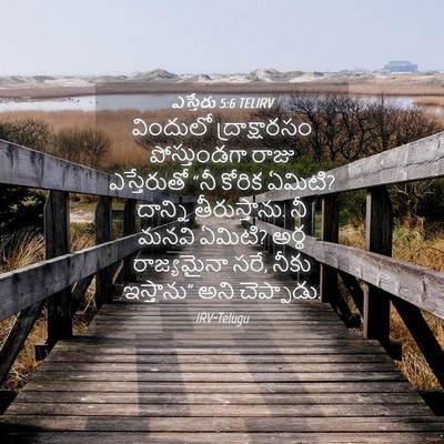 Picture 04 - ఎస్తేరు 5:6 TELIRV - విందులో - Bible Verse Picture