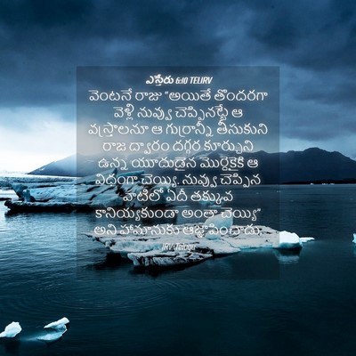 Picture 04 - ఎస్తేరు 6:10 TELIRV - వెంటనే రాజు - Bible Verse Picture