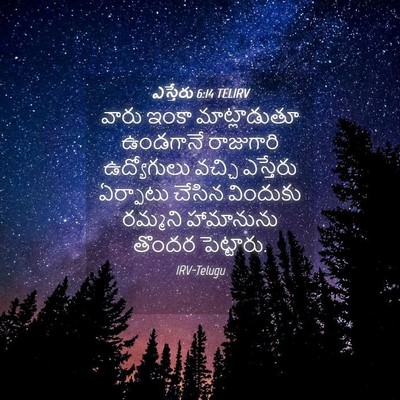 Picture 04 - ఎస్తేరు 6:14 TELIRV - వారు ఇంకా - Bible Verse Picture