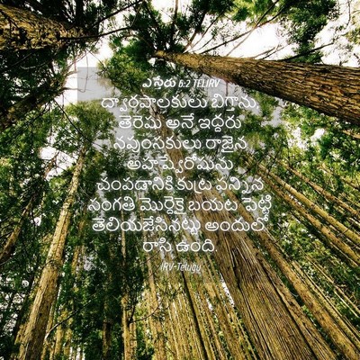 Picture 04 - ఎస్తేరు 6:2 TELIRV - ద్వారపాలకులు - Bible Verse Picture