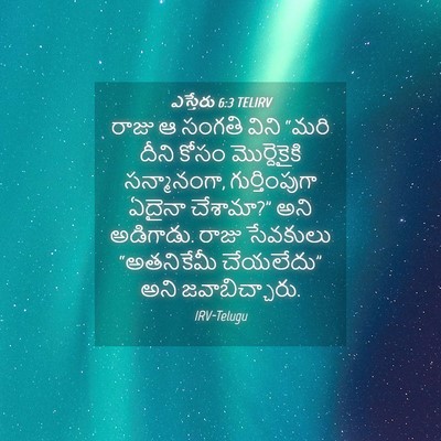 Picture 04 - ఎస్తేరు 6:3 TELIRV - రాజు ఆ సంగతి విని - Bible Verse Picture