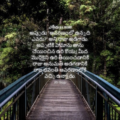 Picture 04 - ఎస్తేరు 6:4 TELIRV - అప్పుడు “ఆవరణంలో - Bible Verse Picture