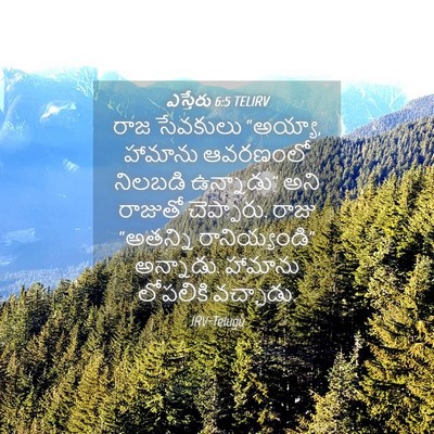 Picture 04 - ఎస్తేరు 6:5 TELIRV - రాజ సేవకులు - Bible Verse Picture