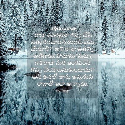Picture 04 - ఎస్తేరు 6:6 TELIRV - “రాజు ఎవరినైనా - Bible Verse Picture